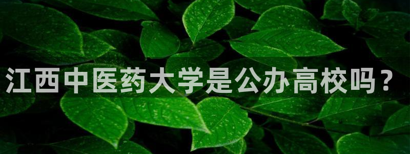 九游会官网入口